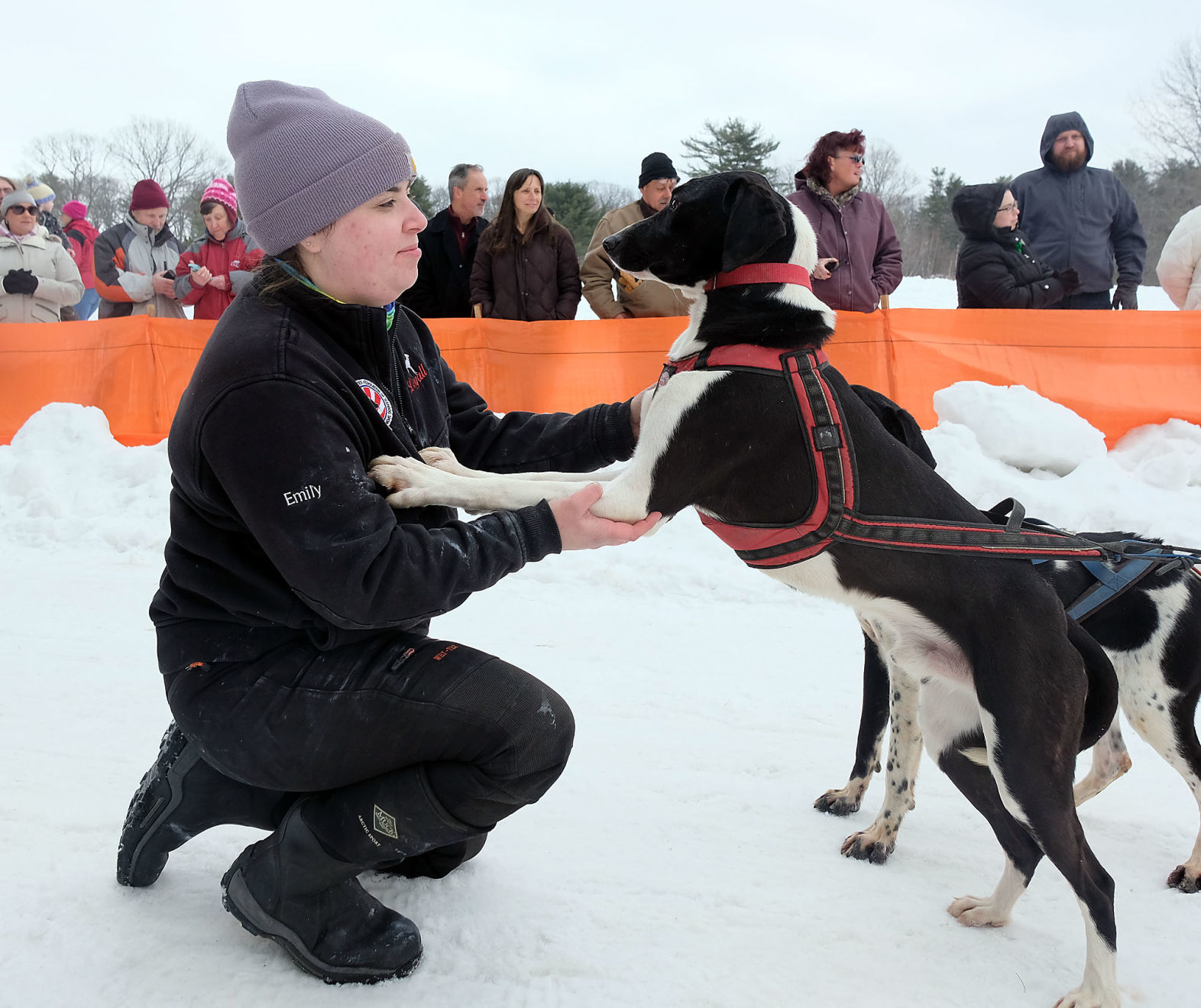 Scene Setters: Laconia Sled Dog Derby